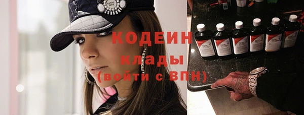 хмурый Алексин