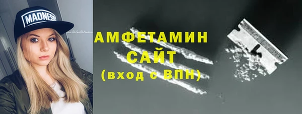 хмурый Алексин