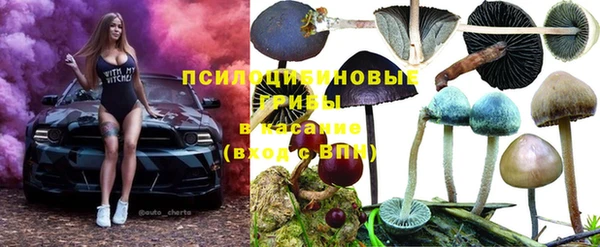 не бодяженный Алзамай