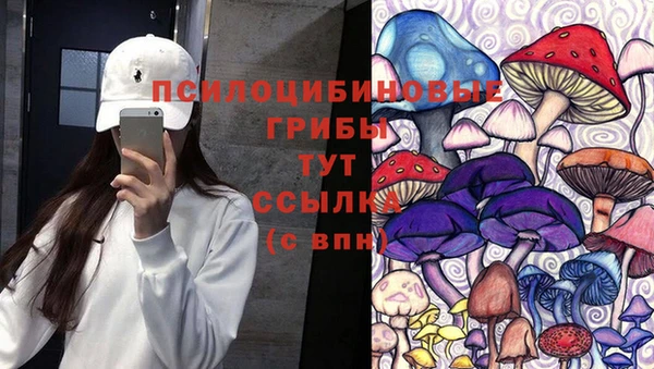 хмурый Алексин