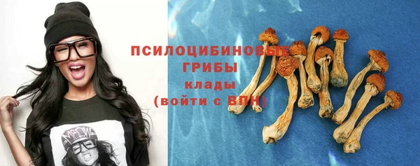 хмурый Алексин