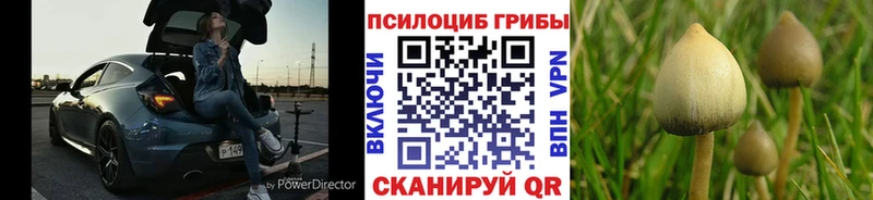 маркетплейс формула Алзамай Псилоцибиновые грибы ЛСД